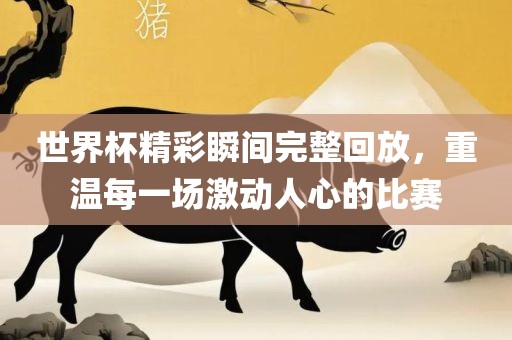 世界杯精彩瞬间完整回放，重温每一场激动人心的比赛