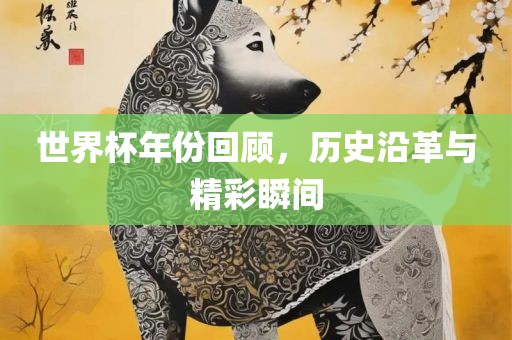 世界杯年份回顾，历史沿革与精彩瞬间