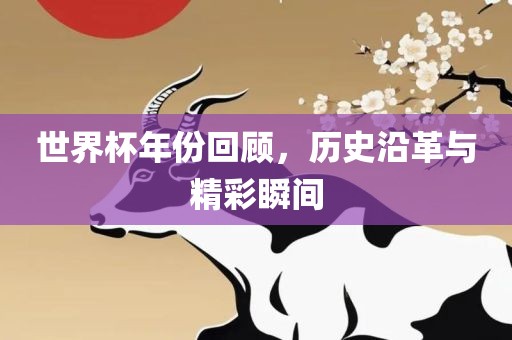 世界杯年份回顾，历史沿革与精彩瞬间
