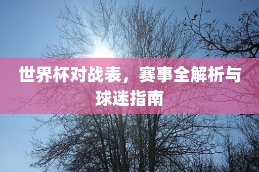 世界杯对战表，赛事全解析与球迷指南