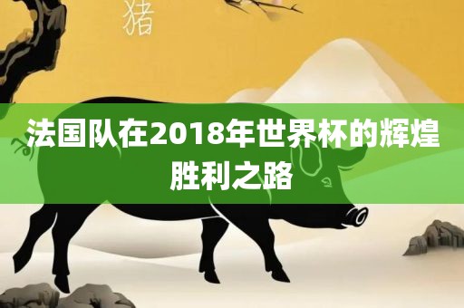 法国队在2018年世界杯的辉煌胜利之路