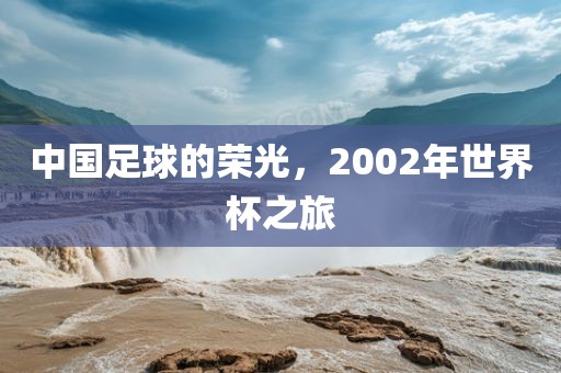 中洛阳市法福文化传播有限公司国足球的荣光，2002年世界杯之旅