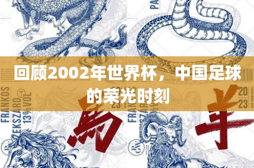 回顾2002年世界杯，中国足球的荣光时刻