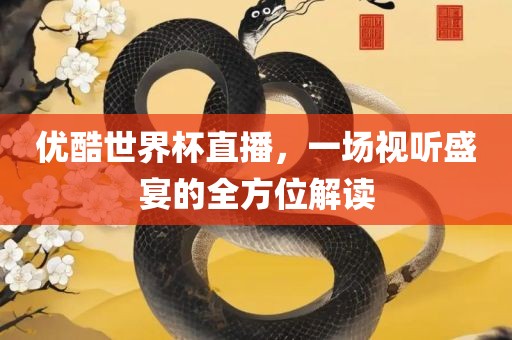 优酷世界杯直播，一场视听盛宴的全方位解读