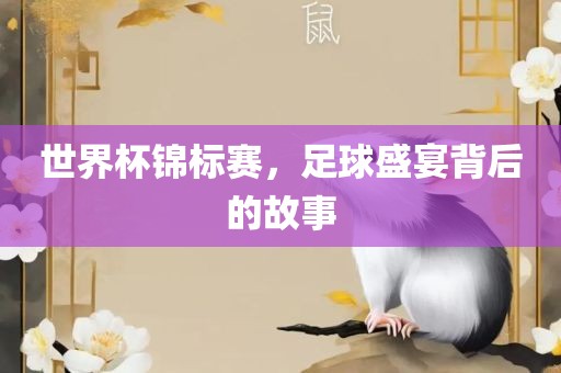 世界杯锦标赛，足球盛宴背后的故事
