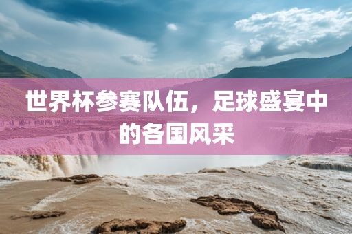 世界杯参赛队伍，足球盛宴中的各国风采