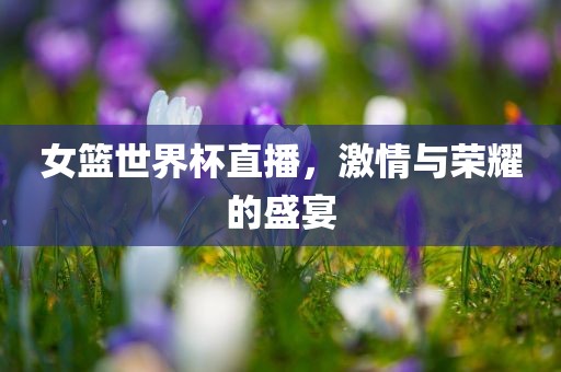 女篮世界杯直播，激情与荣耀的盛宴