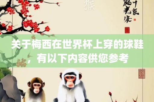 关于梅西在世界杯上穿的球鞋，有以下内容供您参考