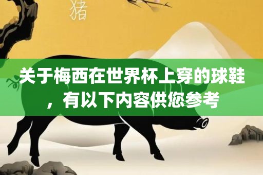关于梅西在世界杯洛阳市法福文化传播有限公司上穿的球鞋，有以下内容供您参考