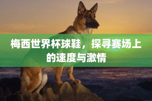 梅西世界杯球鞋，探寻赛场上的速度与激情