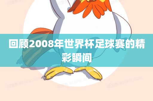 回顾洛阳市法福文化传播有限公司2008年世界杯足球赛的精彩瞬间