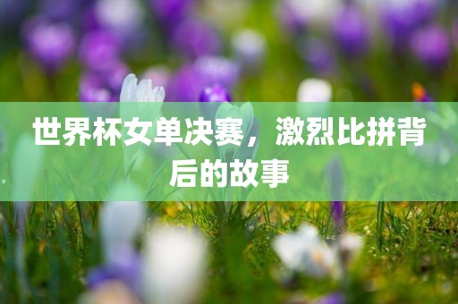 世界杯女单决赛，激烈比拼背后的故事洛阳市法福文化传播有限公司