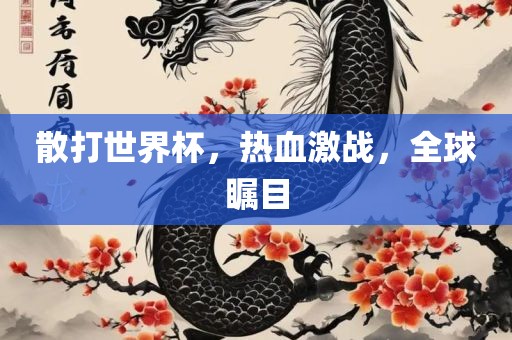 散打世界杯，热血激战，全球瞩目
