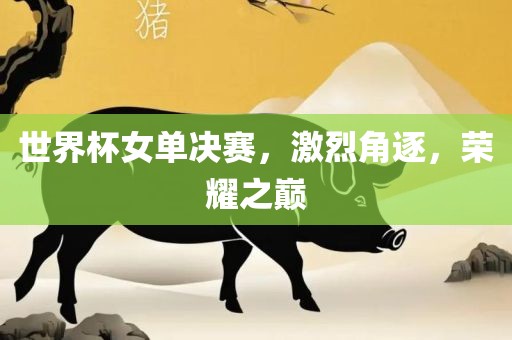 世界杯女单决赛，激烈角逐，荣耀之巅洛阳市法福文化传播有限公司