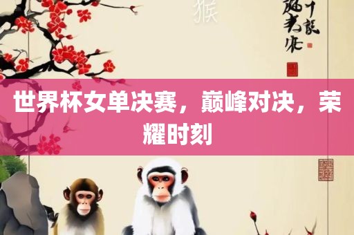 世界杯女单决赛，巅峰对决，荣耀时刻