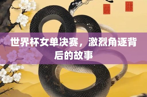 世界杯女单决赛，激烈角逐背后的故事