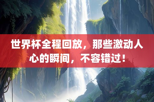 世界杯全程回放，那些激动人心的瞬间，不容错过！