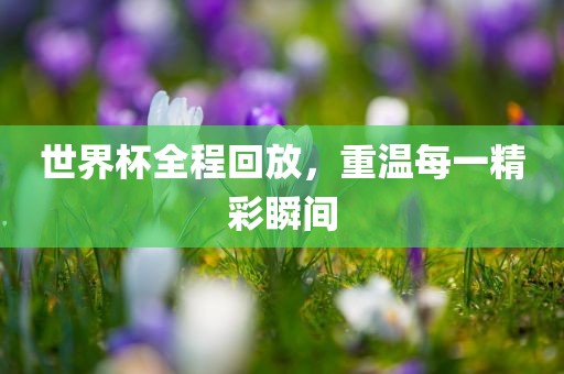 世界杯全程回放，重温每一精彩瞬间洛阳市法福文化传播有限公司