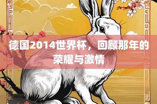 德国2014世界杯，回顾那年的荣耀与激情