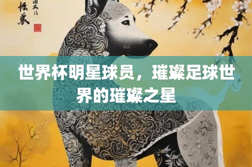 世界杯明星球员，璀璨足球世界的璀璨之星