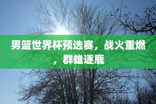 男篮世界杯预选赛，战火重燃，群雄逐鹿