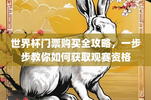 世界杯门票购买全攻略，一步步教你如何获取观赛资格