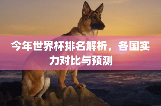 今年世界杯排名解析，各国实力对比与预测
