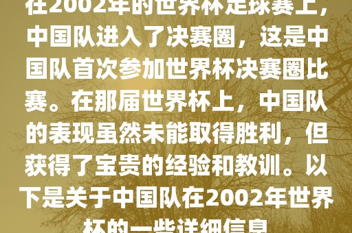 在2002年的世界杯足球赛上，中国队进入了决赛圈，这是中国队首次参加世界杯决赛圈比赛。在那届世界杯上，中国队的表现虽然未能取得胜利，但获得了宝贵的经验和教训。以下是关于中国队在2002年世界杯的一些详细信息