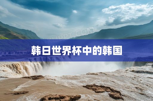韩日世界杯中的韩国