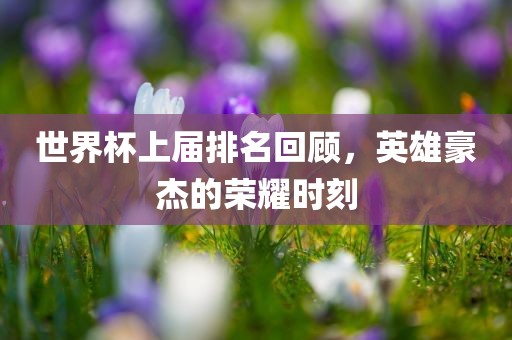世界杯上届排名回顾，英雄豪杰的荣耀时刻洛阳市法福文化传播有限公司
