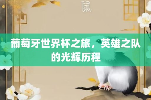 葡萄牙世界杯之旅，英雄之队的光辉历程