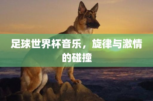 足球世界杯音乐，旋律与激情的碰撞