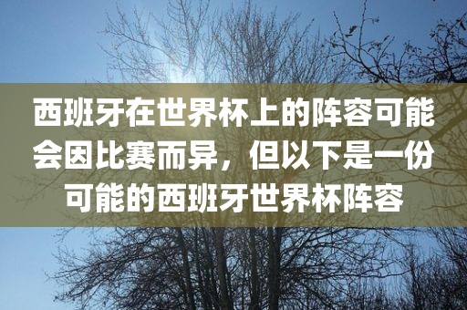 西班牙在世界杯上的阵容可能会因比赛而异，但以下是一份可能的西班牙世界杯阵容