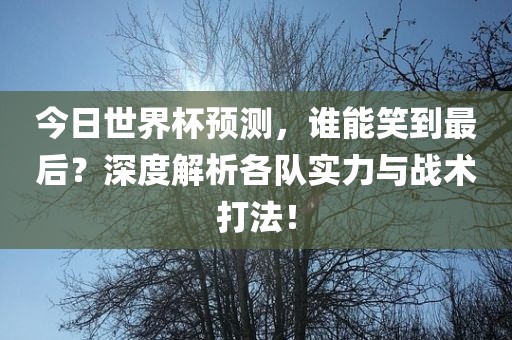 今日世界杯预测，谁能笑到最后？深度解析各队实力与战术打法！
