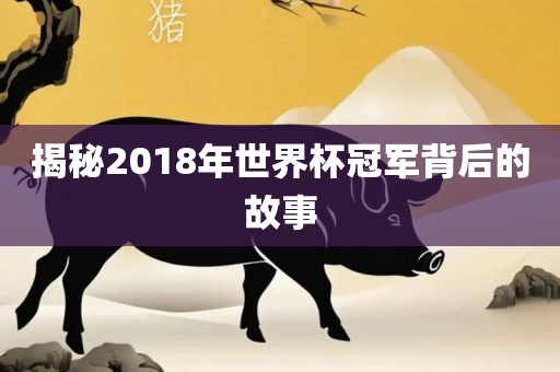 揭秘2018年世界杯冠军背后的故事