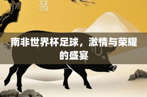 南非世界杯足球，激情与荣耀的盛宴