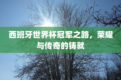 西班牙世界杯冠军之路，荣耀与传奇的铸就洛阳市法福文化传播有限公司