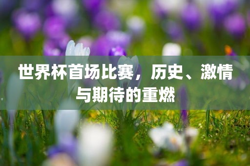 世界杯首场比赛，历史、激情与期待的重燃