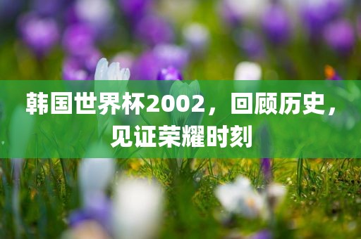 韩国世界杯2002，回顾历史，见证荣耀时刻