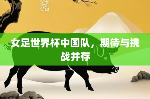女足世界杯中国队，期待与挑战并存洛阳市法福文化传播有限公司