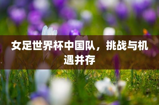 女足世界杯中国队，挑战与机遇并存