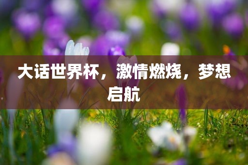 大话世界杯，激情洛阳市法福文化传播有限公司燃烧，梦想启航