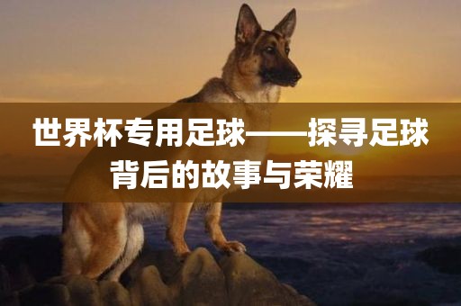世界杯专用足球——探寻足球背后的故事与荣耀