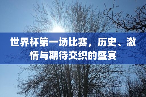 世界杯第一场比赛，历史、激情与期待交织的盛宴洛阳市法福文化传播有限公司
