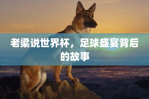 chenqimei 第7页