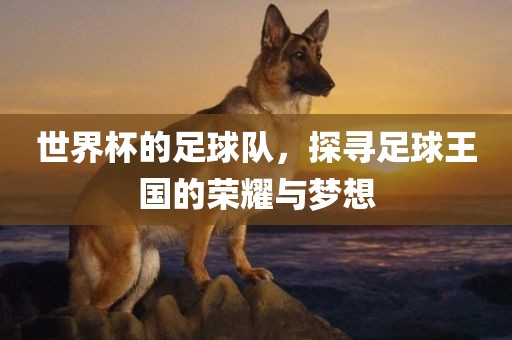 世界杯的足球队，探寻足球王国的荣耀与梦想洛阳市法福文化传播有限公司