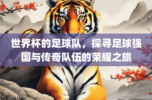 世界杯足球队