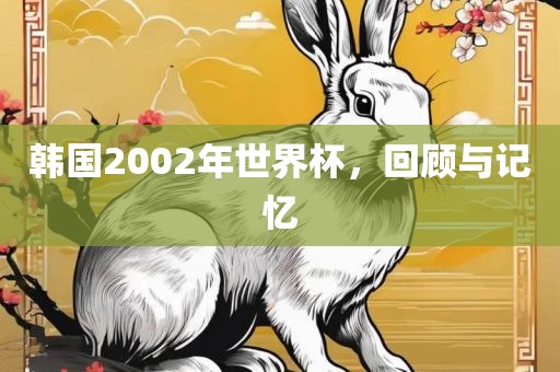 韩国2002年世界杯，回顾与记忆洛阳市法福文化传播有限公司