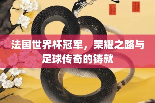 法国世界杯冠军，荣耀之路与足球传奇的铸就