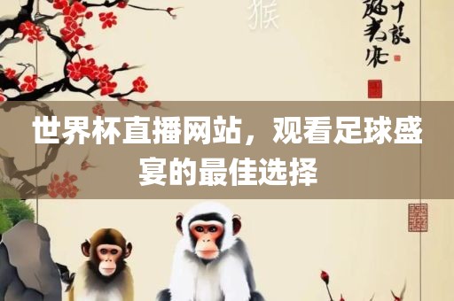 世界杯直播网站，观看足球盛宴的最佳选择